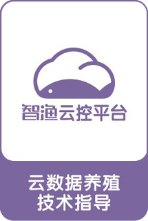 &#20122;&#23089;&#20307;&#32946;